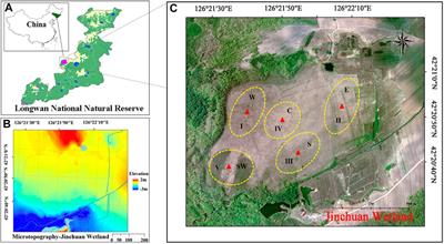 Multi-environment factors dominate plant community structure and diversity in an ombrotrophic bog: The water level is the main regulating mechanism